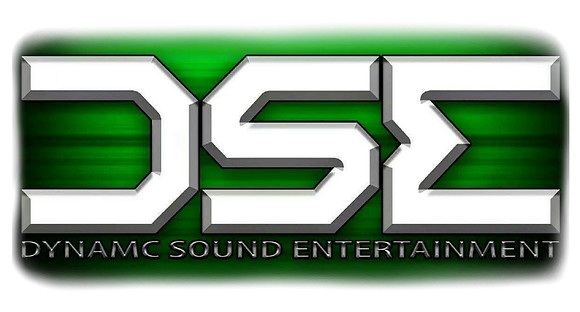 DSE Logo